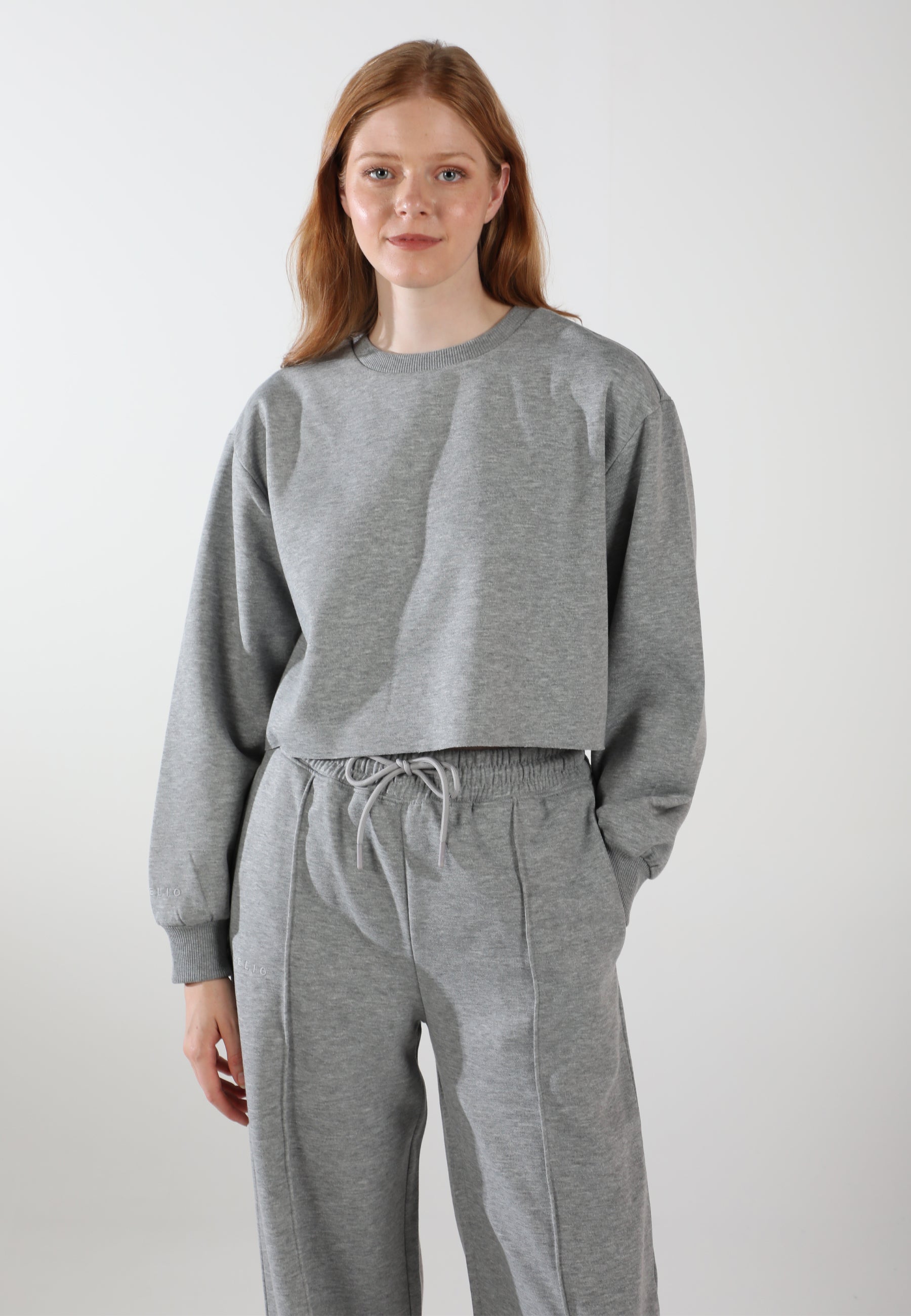 Cropped Crewneck Sweatshirt / Moon Grey