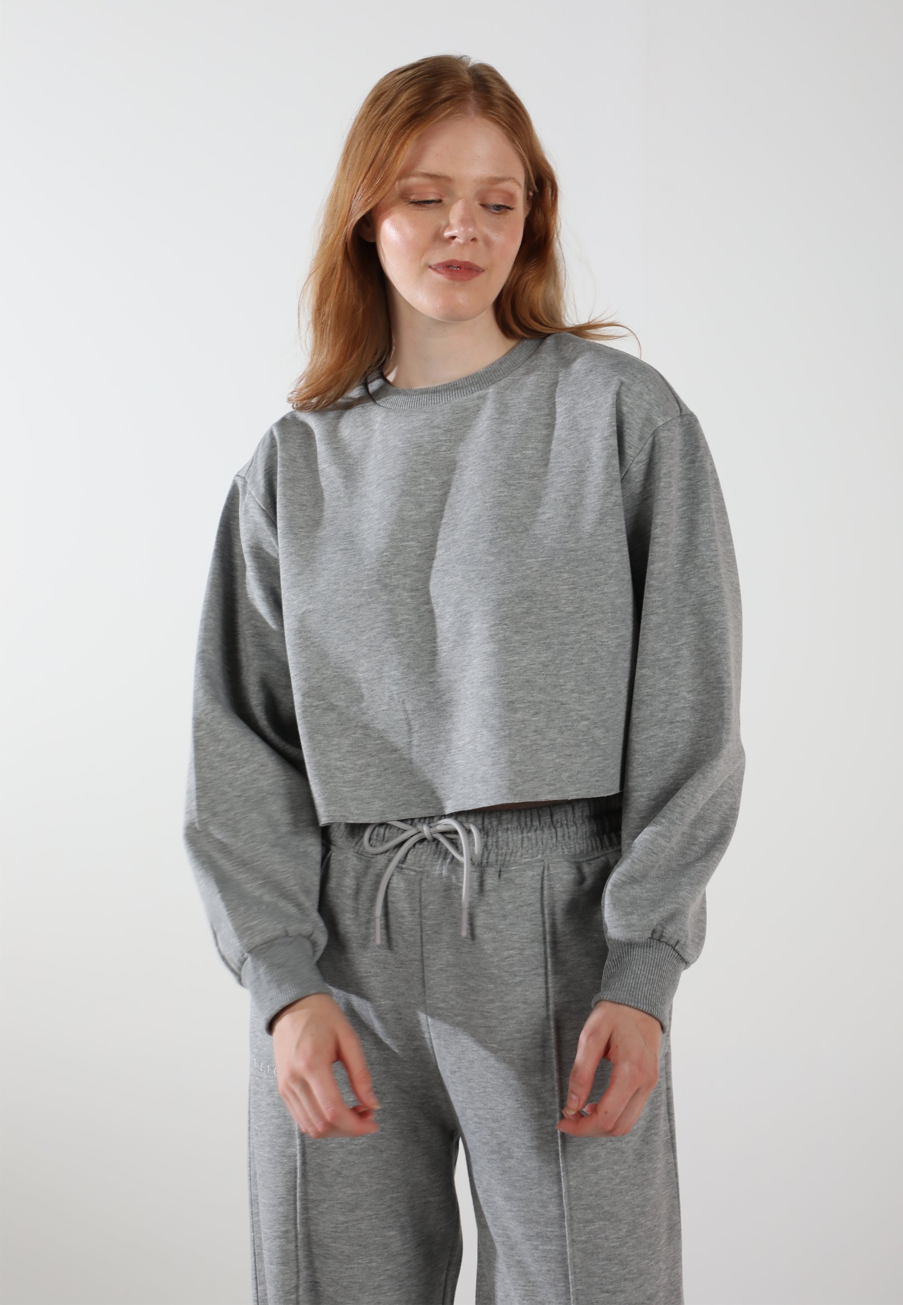 Cropped Crewneck Sweatshirt / Moon Grey