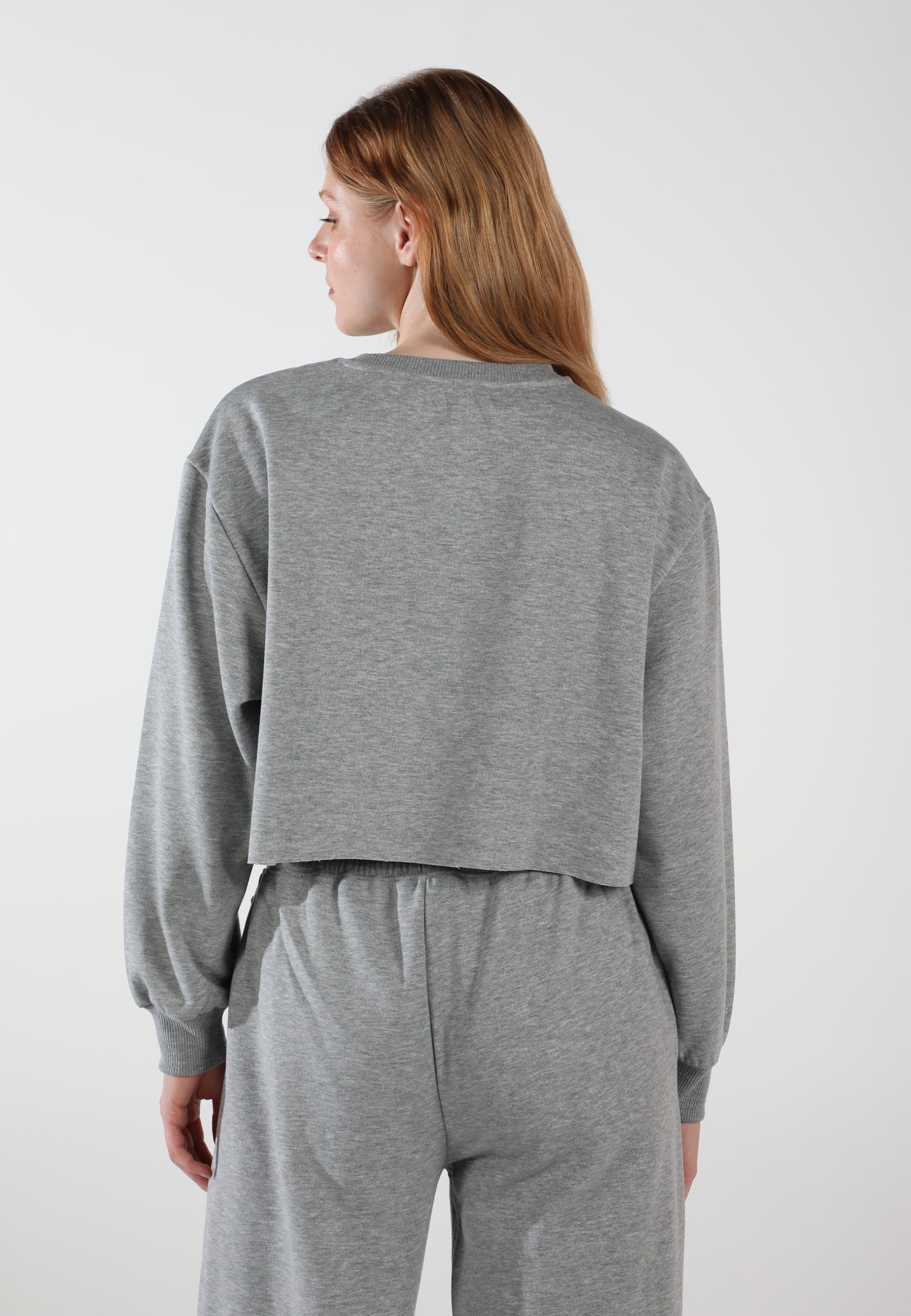 Cropped Crewneck Sweatshirt / Moon Grey