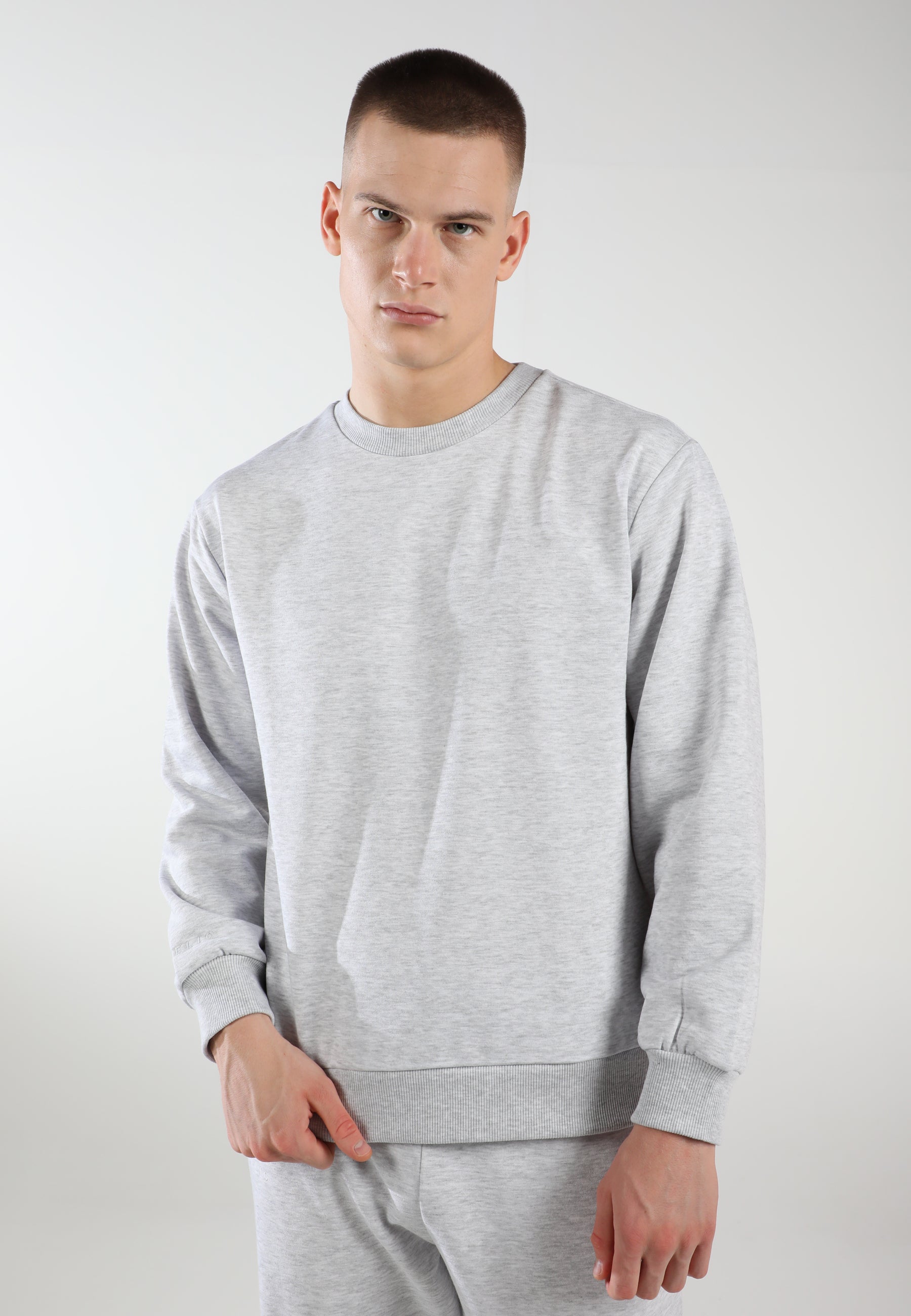Oversized Crewneck Sweatshirt / Airy Grey
