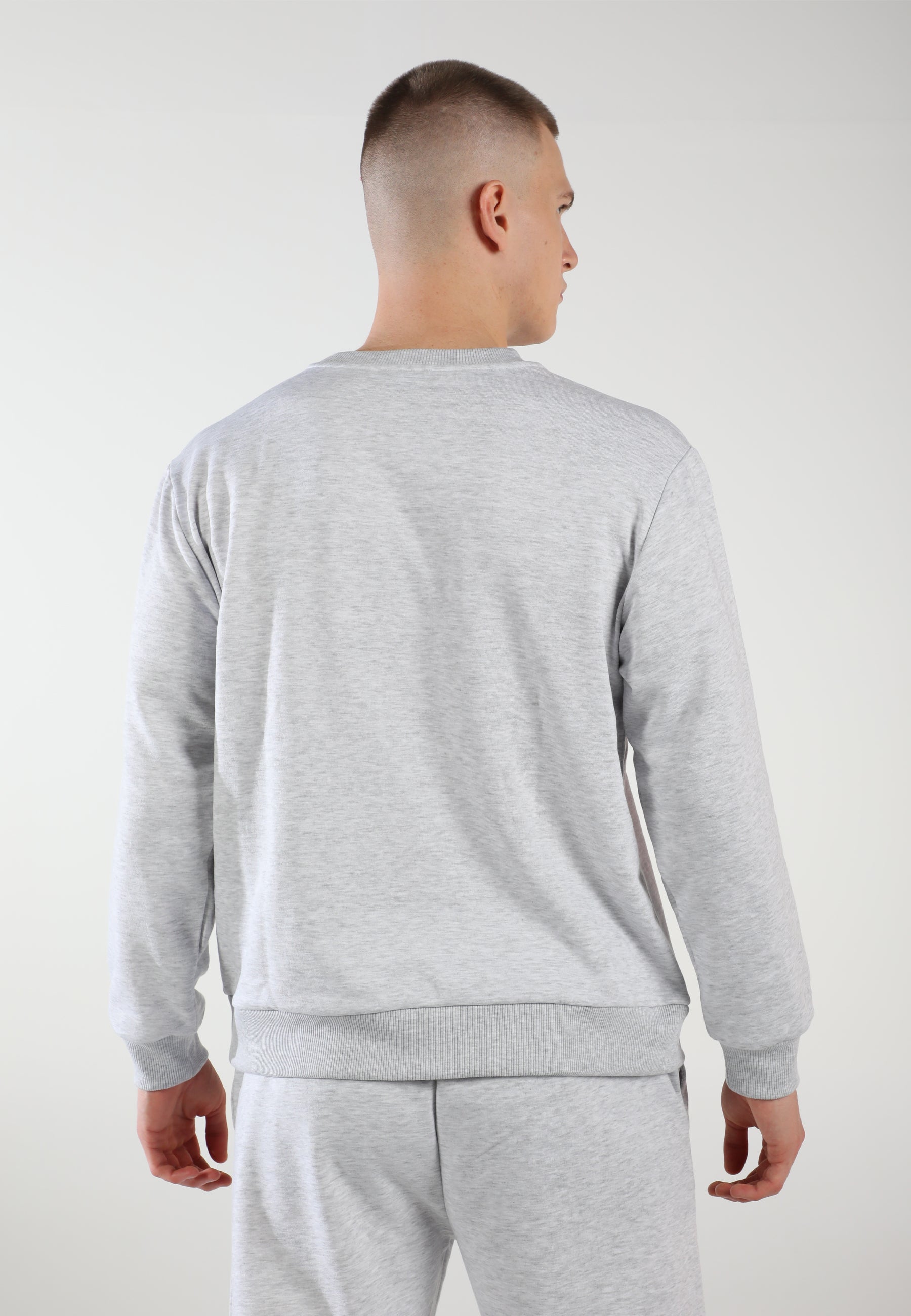 Oversized Crewneck Sweatshirt / Airy Grey