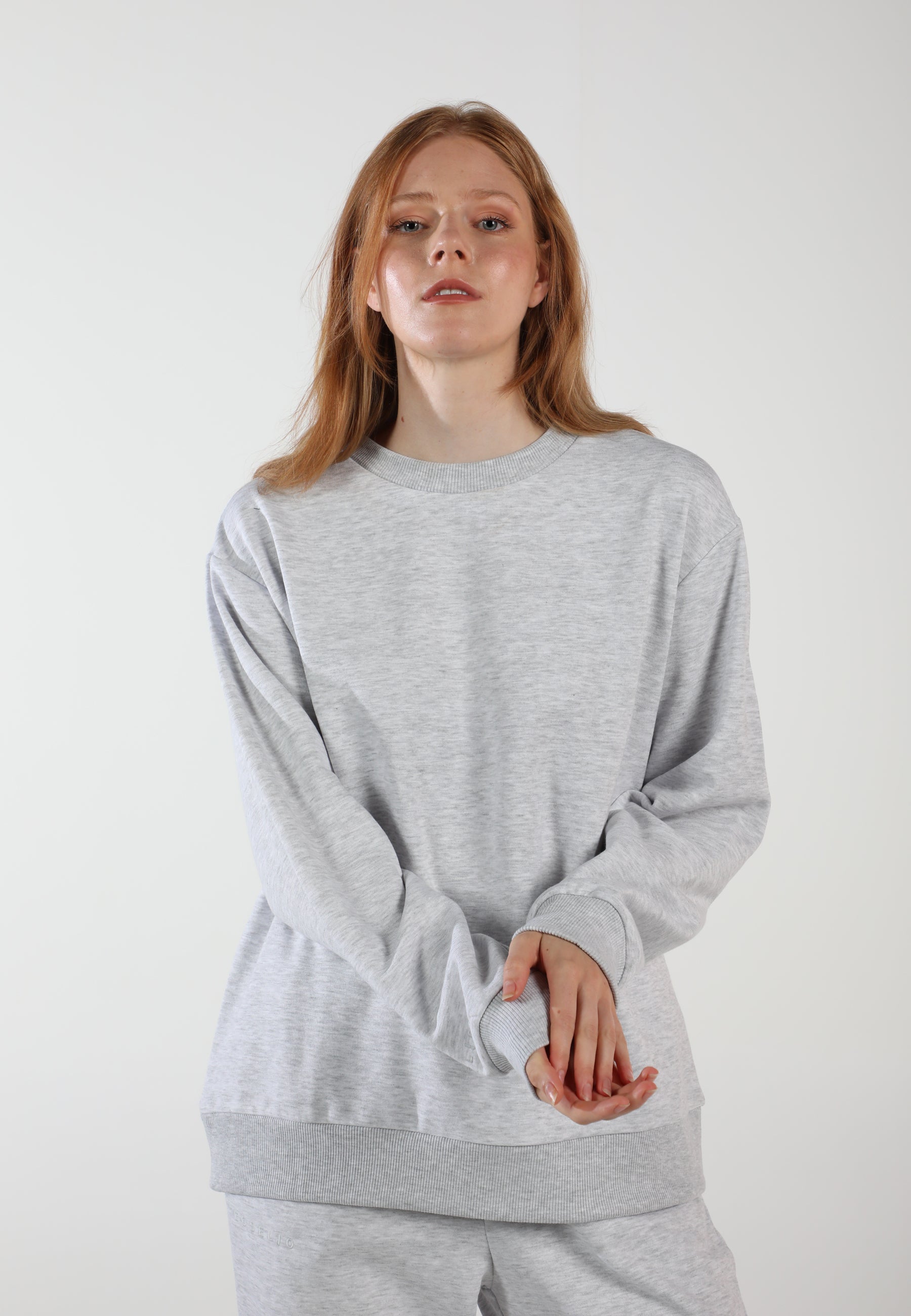 Oversized Crewneck Sweatshirt / Airy Grey