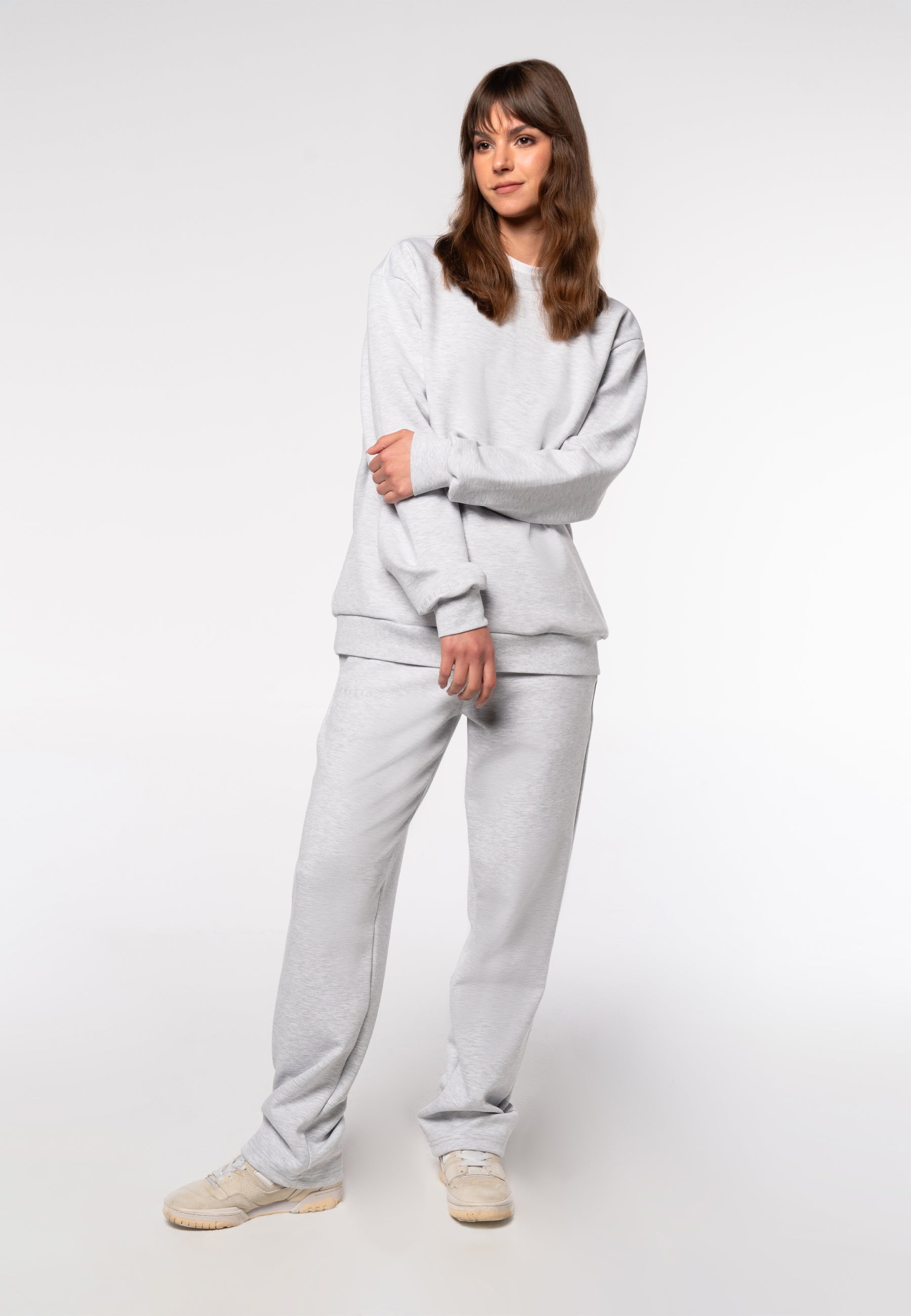 Crewneck Sweatshirt / Gray