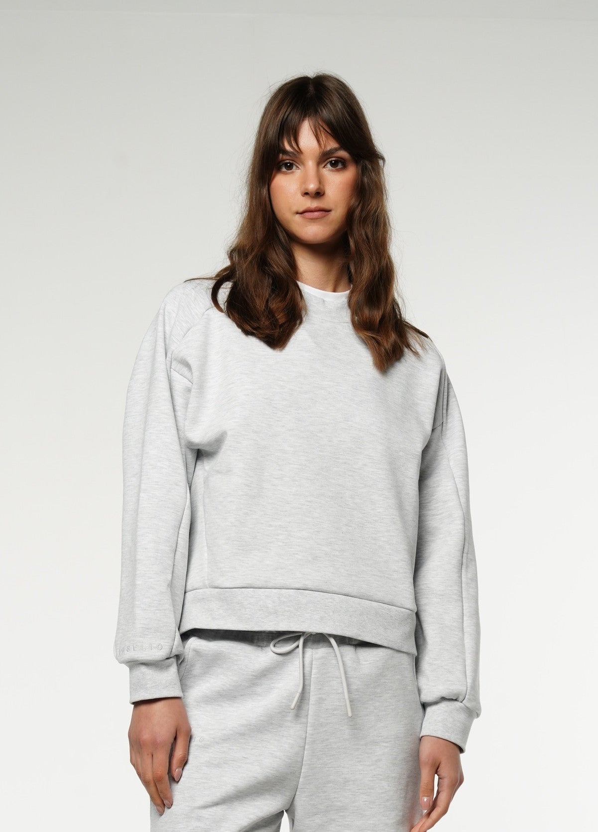 Crewneck Cropped Sweatshirt / Gray