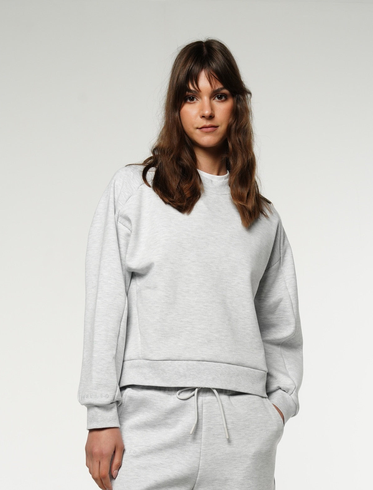 Crewneck Cropped Sweatshirt / Gray