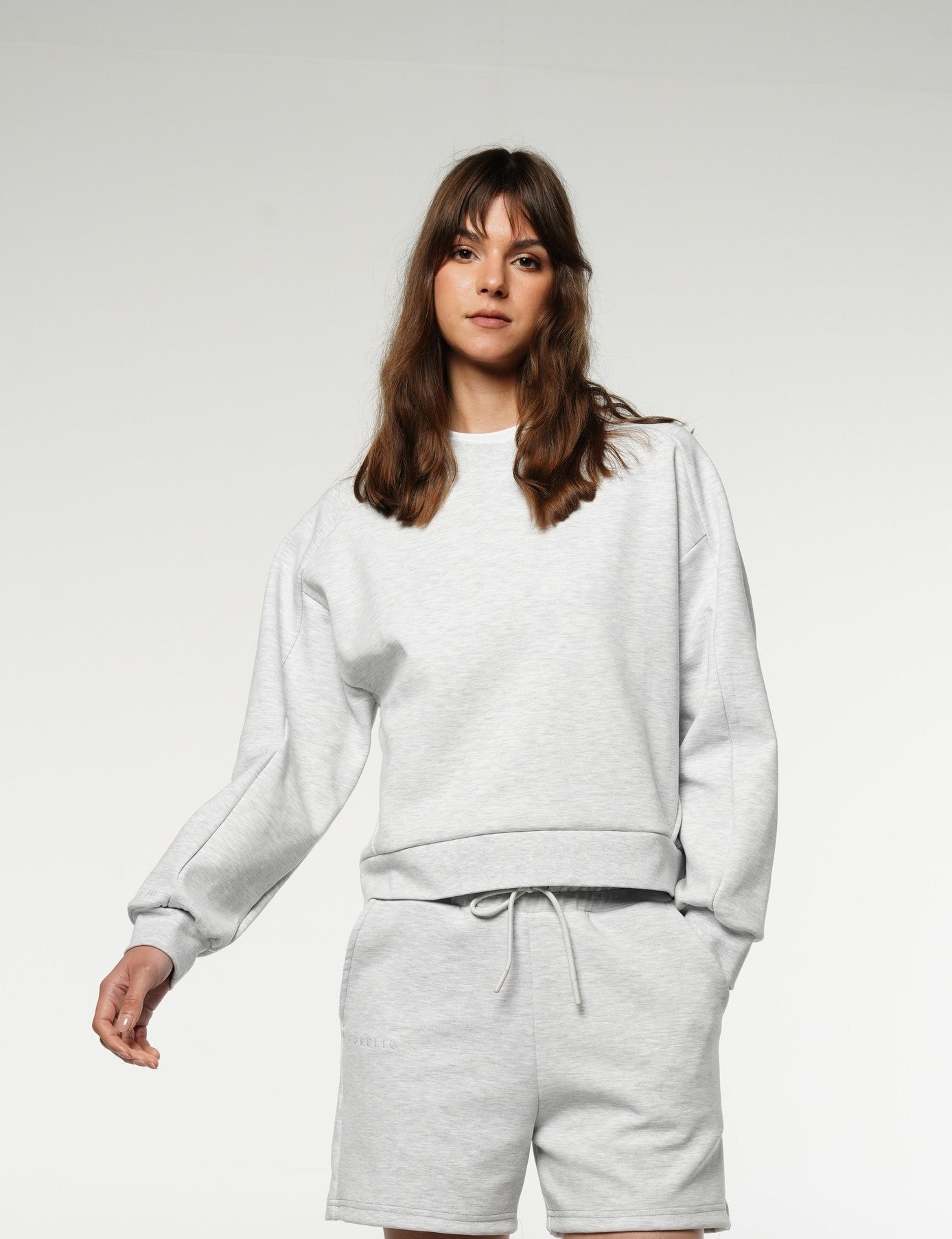 Crewneck Cropped Sweatshirt / Gray