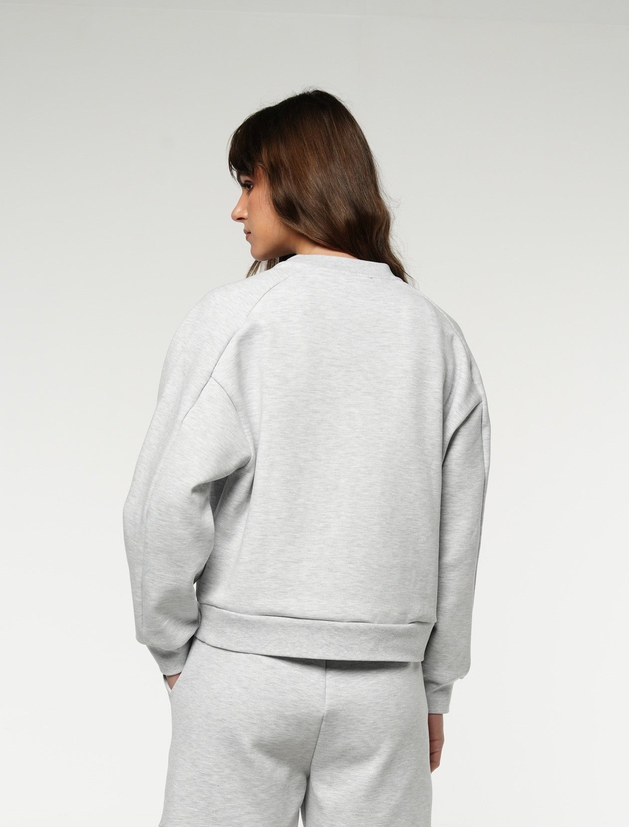 Crewneck Cropped Sweatshirt / Gray