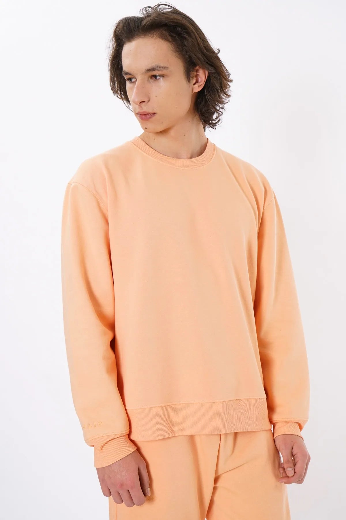 Oversized Crewneck Sweatshirt / Apricot