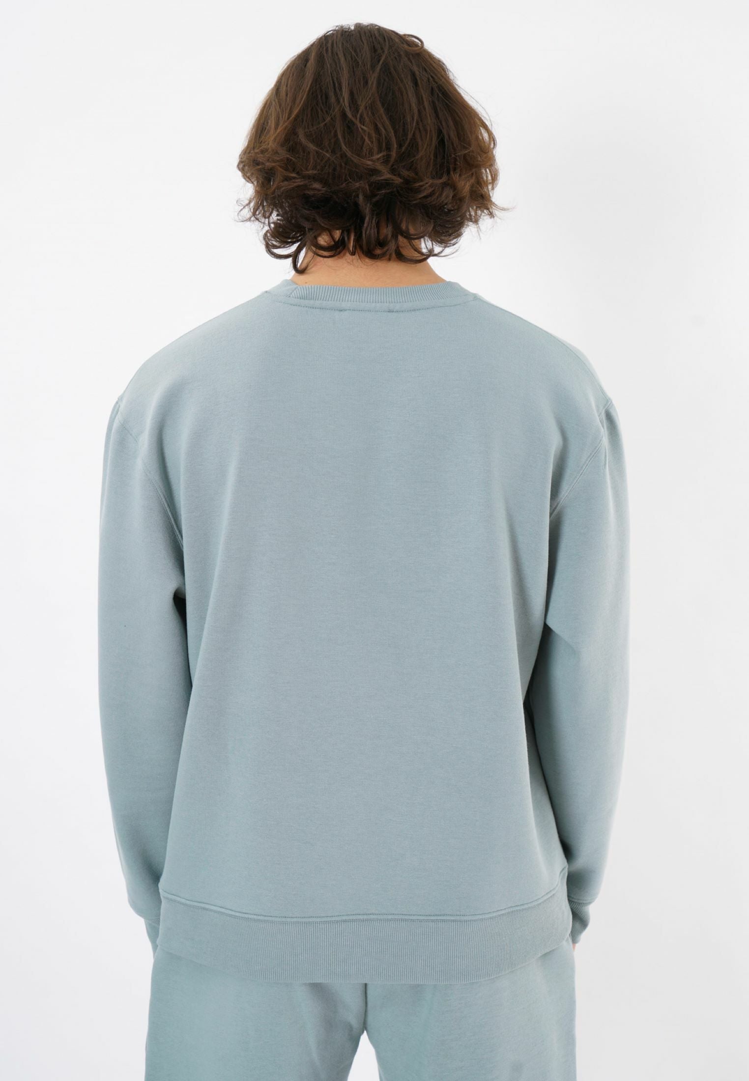 Oversized Crewneck Sweatshirt / Sage Green