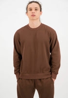 Oversized Crewneck Sweatshirt / Chocolate Brown