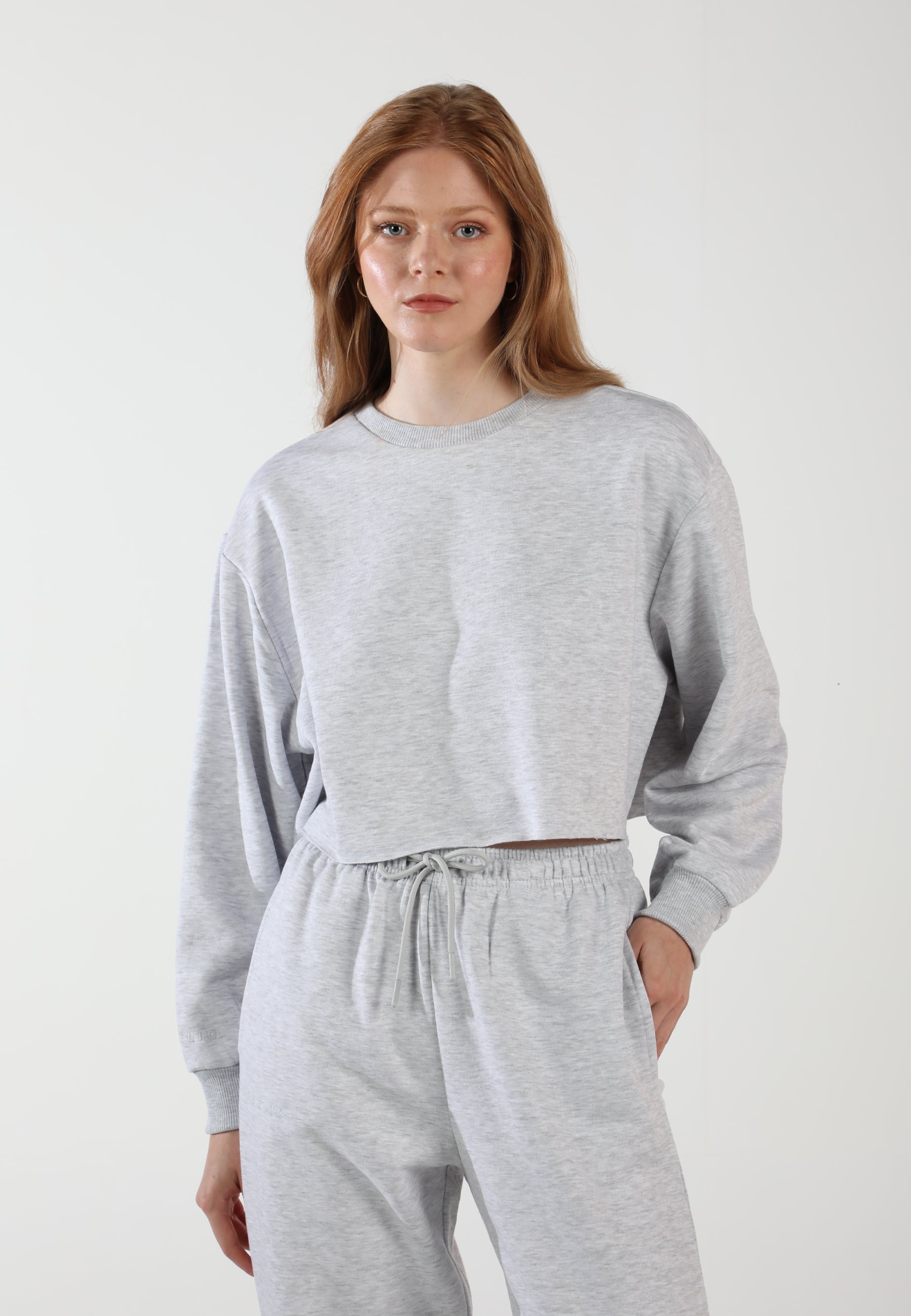 Cropped Crewneck Sweatshirt / Airy Grey